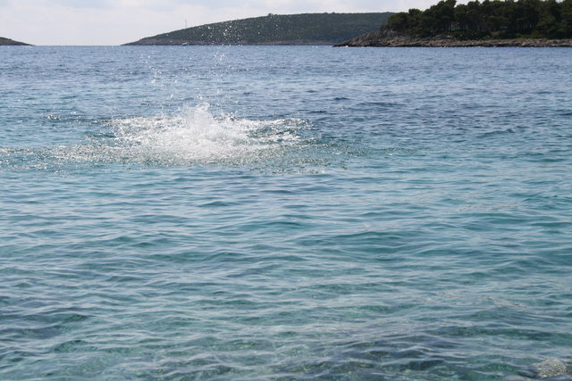 gal/cro 08/small-IMG_4936.JPG